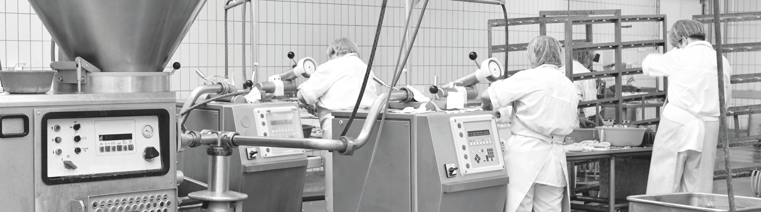Lebensmittelproduktion &ndash; Fleischverarbeitung mit industriellen Anlagen 1