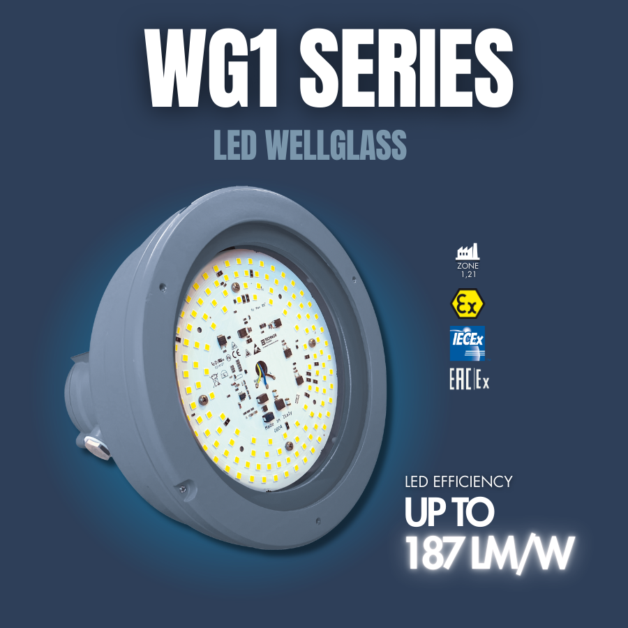 WG1 SERIES LED WELLGLASS