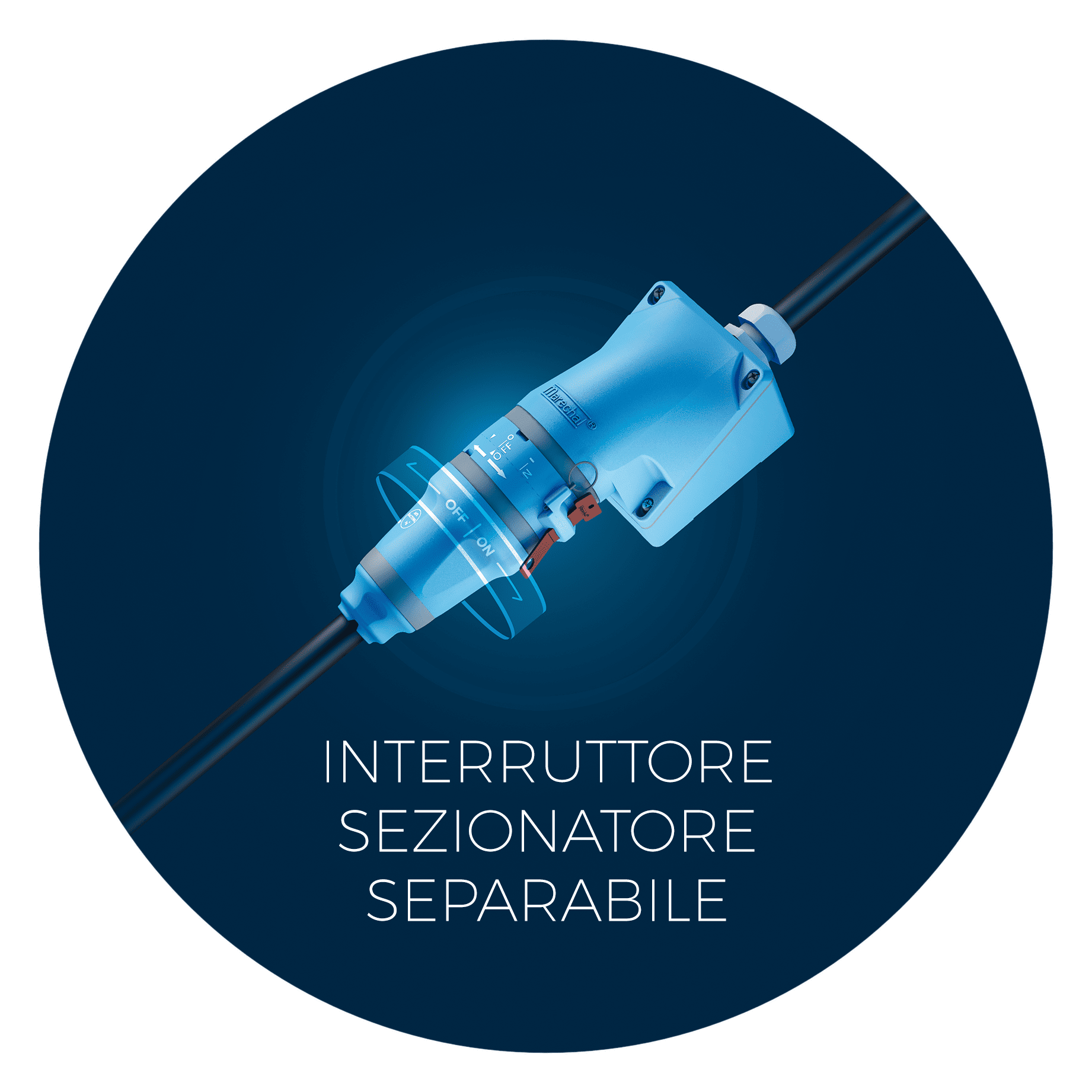 interruttore sezionatore separabile