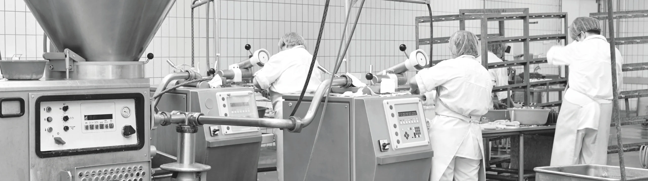 Sicherheit, Hygiene und Effizienz in der Fleischverarbeitung