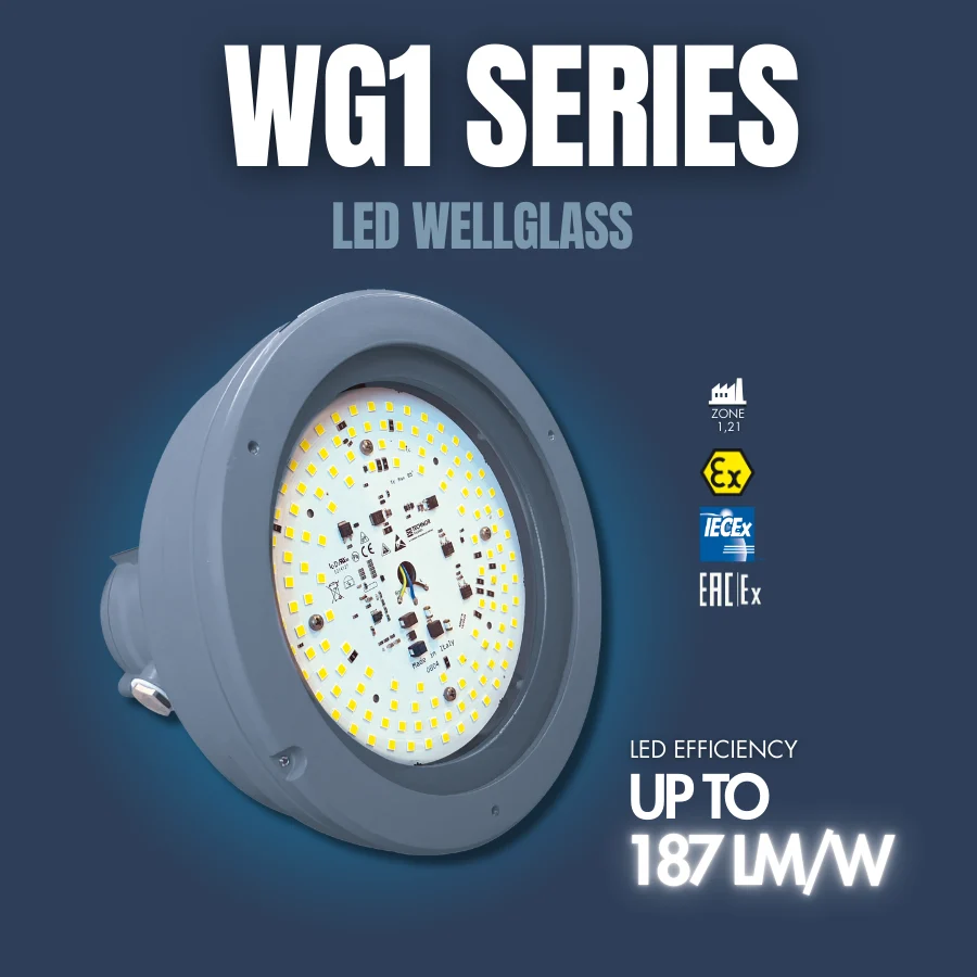 WG1 SERIES LED WELLGLASS